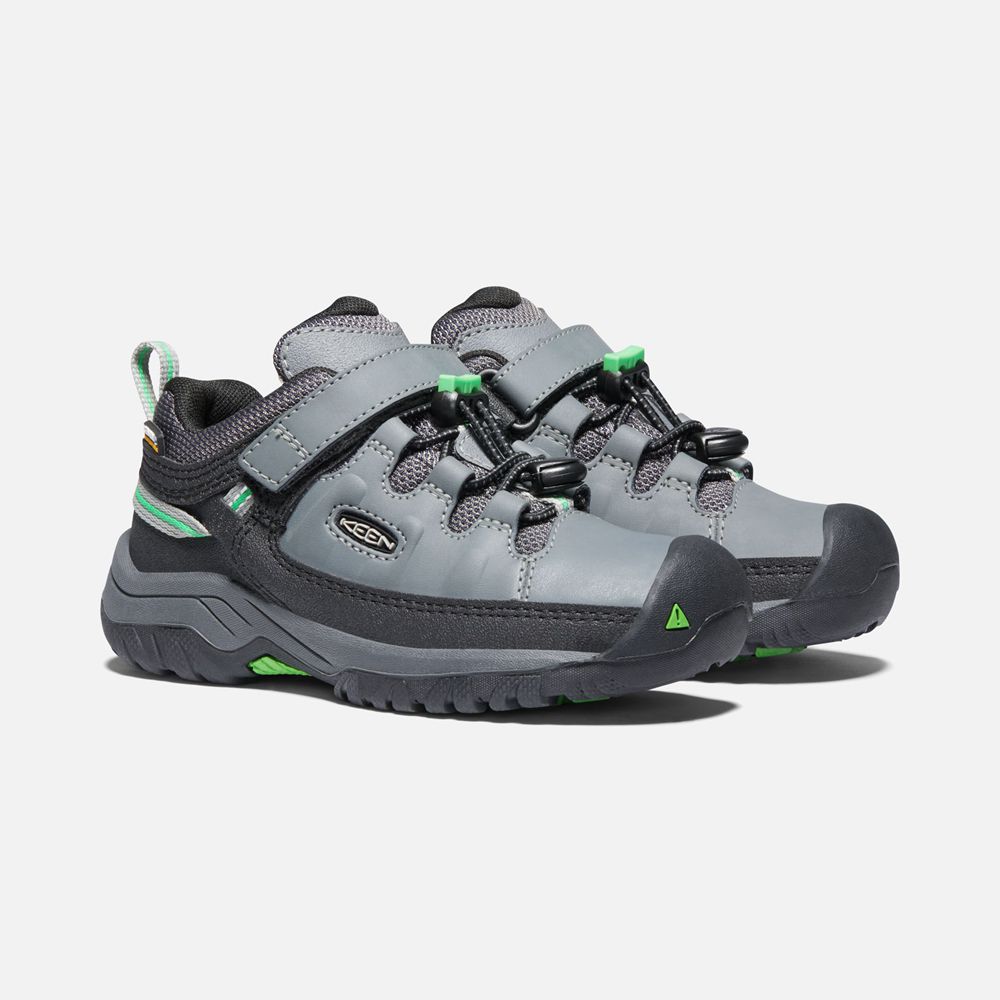 Keen Wandelschoenen Kinderen Grijs/Groen - Targhee Waterproof - 46813-XZQC